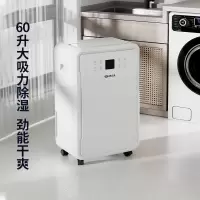 先锋(SINGFUN)除湿机CFS60B-21AR家用大功率吸湿神器卧室除潮房间净化地下室抽湿机60L吸湿器抽湿器家用除