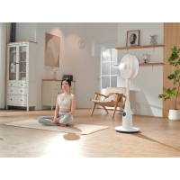 浩奇Lebrn 冰雾落地循环扇 FWA-14ZTV 白色