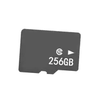 淘行者 TXZ-XP17S 256G SD卡 SD存储卡(计价单位:个)灰色