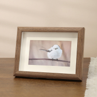 三维工匠洗照片做成相框摆台定制diy高级感6寸相片打印加画框摆件中空相册 胡桃色 A3寸[内径29.7*42]挂墙有机玻