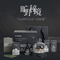 三维工匠CITTA西苔&香薰晶石扩香石礼盒卧室家用摆件生日礼物女生礼品香氛