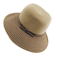鸽护 草帽 GH-MZ-041-K12-02 顶