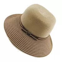 鸽护 草帽 GH-MZ-041-K12-02 顶