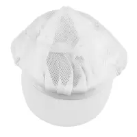 鸽护 食品专用工作帽 GH-MZ-041-K20-01 顶