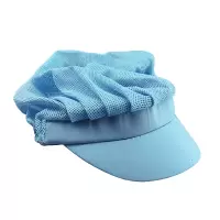 鸽护 食品专用工作帽 GH-MZ-041-K20-04 顶