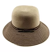 鸽护 草帽 GH-MZ-041-K12-03 顶