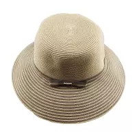 鸽护 草帽 GH-MZ-041-K12-04 顶