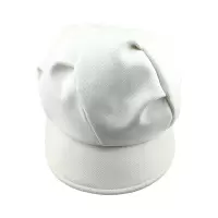 鸽护 贝雷帽 GH-MZ-049-K27-02 顶