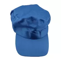 鸽护 食堂防尘帽 GH-MZ-049-K40-1 顶