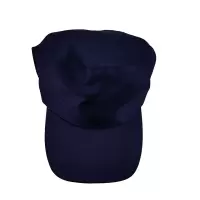 鸽护 食堂防尘帽 GH-MZ-049-K40-5 顶