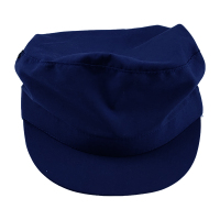 鸽护 工厂防尘帽 GH-MZ-049-K40-8 顶