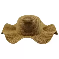 鸽护 遮阳草帽 GH-MZ-049-K45-1 顶
