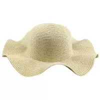 鸽护 遮阳草帽 GH-MZ-049-K45-2 顶