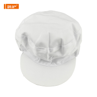 鸽护 防尘保洁帽 GH-MZ-049-K34 个