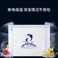 澳柯玛/AUCMA 卧式冷柜 BC/BD-323NE