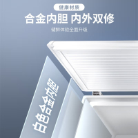 澳柯玛BC/BD-143DNE 零下34度冷柜