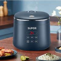 SF20FC45苏泊尔电饭煲2L小型2-3人家用多功能不粘小容量宿舍单人煮粥热饭电饭锅智能预约小功率 2L