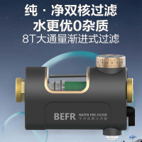 比弗丽(BEFR)高端卧式前置过滤器大流量净水器过滤中央净水设备 BFL-009(不含安装费)