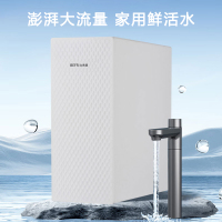 比弗丽(BEFR)净家用鲜活水厨房RO反渗透800G大通量纯水机蜂窝聚水双出水龙头净水器BFL-G-818(不含安装)