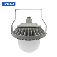 苏识 SS9186-100W 220V 100W 6500K IP66 LED 防水防尘灯(计价单位:个)灰色