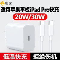 适用苹果ipadpro充电器头双typec数据线20W快充air6/5/4平板mini6