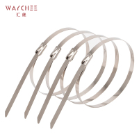 汇继 不锈钢扎带 12*1000mm/个