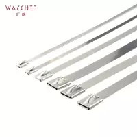 汇继 不锈钢扎带 12*700mm/个
