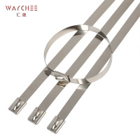 汇继 不锈钢扎带 4.6*150mm/个