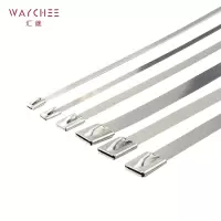 汇继 不锈钢扎带 4.6*150mm/个