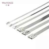 汇继 不锈钢扎带 4.6*500mm/个