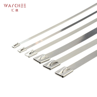 汇继 不锈钢扎带 7.9*1000mm/个
