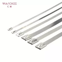 汇继 不锈钢扎带 7.9*1000mm/个