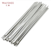 汇继 不锈钢扎带 10*800mm条