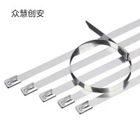 众慧创安 不锈钢扎带 7.9*900mm 个
