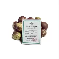 钿满堂冬枣3斤/箱