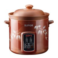 苏泊尔(SUPOR )3升容量电炖锅电炖盅煲汤锅炖汤锅 煮粥锅 紫陶内胆 可预约定时DG30YC816