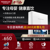 汉斯顿/Hunsdon净水器家用厨房自来水过滤器厨下式无桶大流量净水机320EY 2L/min不用电无废水保留矿物质