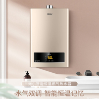 海尔(Haier)燃气热水器13升天然气强排式燃气热水器 水气双调恒温56重安防一厨一卫13ZDS