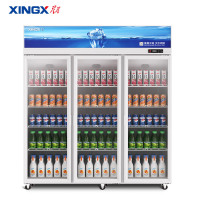 星星(XINGX)LSC-1218Y 1200升商用展示柜 立式对开门冷藏柜 商用大容量冰柜 冰箱 保鲜柜 三门饮料柜