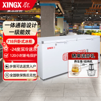 星星(XINGX) 718升商用卧式大冷柜 冷藏冷冻转换柜 节能省电 断电保护 大冷冻力冰柜 BD/BC-728GE