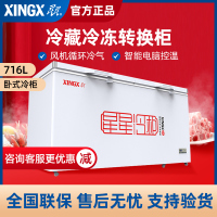 星星(XINGX) 716升 保鲜柜商用单温大冰柜 卧式双门顶开门 单箱变温冷柜 冷藏冷冻转换柜 BD/BC-716E