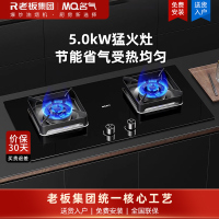 老板名气(MQ)燃气灶5.0kW大火力嵌入式家用灶一级能效节能猛火黑玻璃双灶B510A