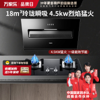万家乐 油烟机灶具套餐 烟灶两件套AL031+LAY3 侧吸18立方大吸力油烟机燃气灶套装 天然气