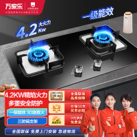 万家乐 燃气灶煤气灶灶台嵌两用灶具 4.2kw烈火燃气灶 煤气灶 钢化玻璃双灶嵌入式 液化气JZY-KA211B