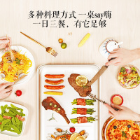 松下(Panasonic)聚嗨盘多用途锅电烤盘多功能料理锅网红多功能锅煎烤锅可定时 NF-M1-N金色