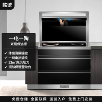 欧诚电磁炉电陶炉保洁柜一体集成灶 L22-1 体感烟机大吸力环保灶一体抽油烟机燃气灶套装