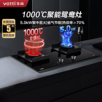 华帝(vatti)5.0KW大火力高效省气燃气灶天然气鸳鸯聚能炉灶可拆卸炉头嵌入式台式双灶具JZT-i10062B