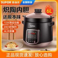 苏泊尔(SUPOR)电炖锅电炖盅煲汤锅炖汤锅煮粥锅十二大特色功能炽陶老火汤电炖锅DG60YC13