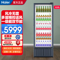 海尔展示柜冷藏保鲜柜饮料柜透明玻璃门水果展示柜商用 超市便利店冷饮啤酒冷藏柜冷柜一级能效SC-610