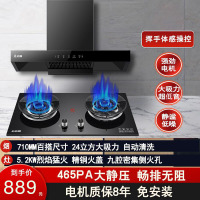 志高(CHIGO)F811+F216A欧式直吸抽油烟机燃气灶具套餐双灶眼 电机免费终身换新 (天然气)免费安装